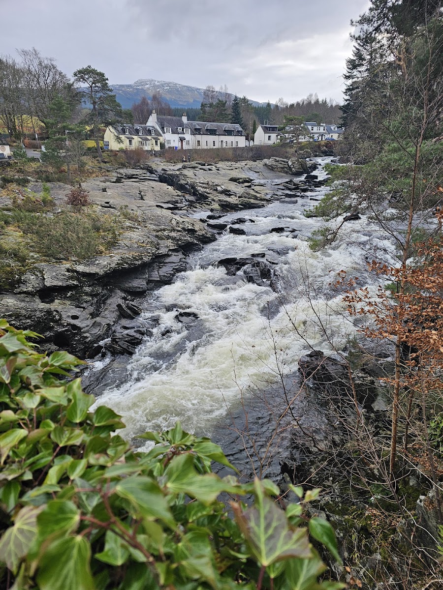 Capercaillie Restaurant And Bar-3